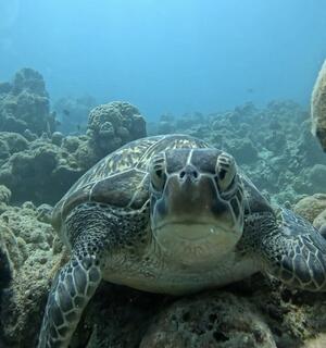 石垣島からの発信！[4]