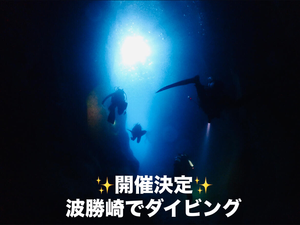 波勝崎でダイビング！