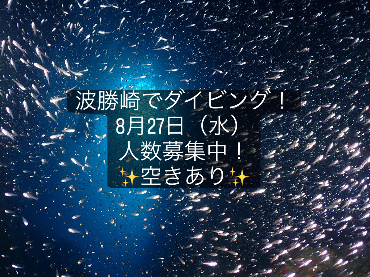 波勝崎でダイビング！