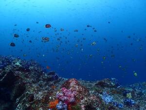 本日は神子元へ！[2]