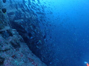 雲見and波勝崎！＠雲見[1]