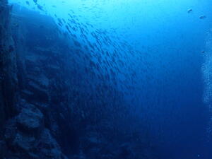 雲見and波勝崎！＠雲見[2]