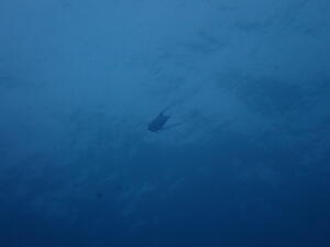 連休開始！＠雲見[1]