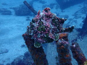 OW合格！！雲見[6]