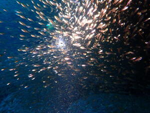 OW合格！！雲見[5]