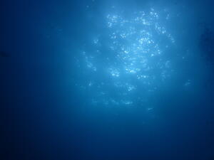 かわい子ちゃん＠雲見[5]