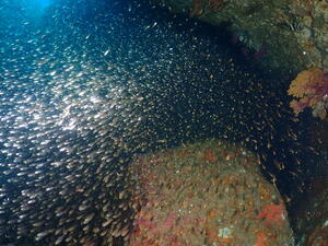 可愛い子たちがたくさん！　＠雲見[5]