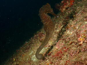 可愛い子たちがたくさん！　＠雲見[1]