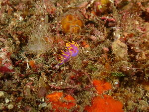 可愛い子たちがたくさん！　＠雲見[7]