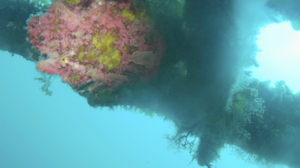 洞窟探検！＠雲見[3]