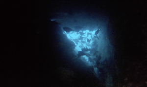 洞窟探検！＠雲見[1]