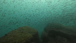 クローズ明けて！！＠雲見[3]