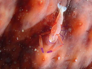 THE 雲見！＠雲見[2]