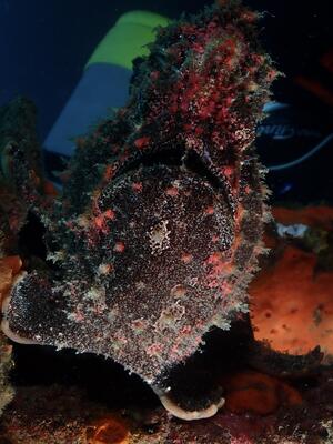 雲見オープン！＠雲見[5]