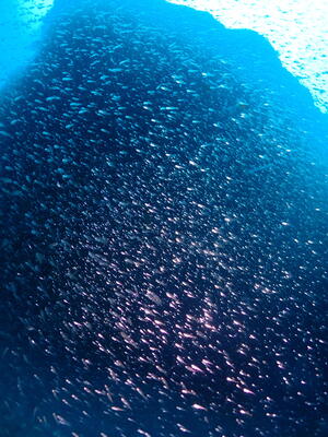 雲見オープン！＠雲見[2]