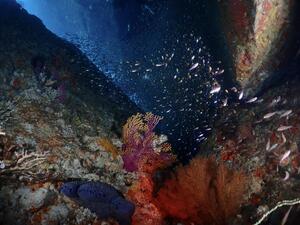 THE 雲見！＠雲見[1]