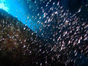 THE 雲見！＠雲見[4]