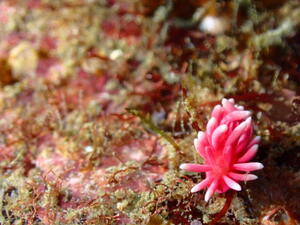 OW講習！＠雲見[2]