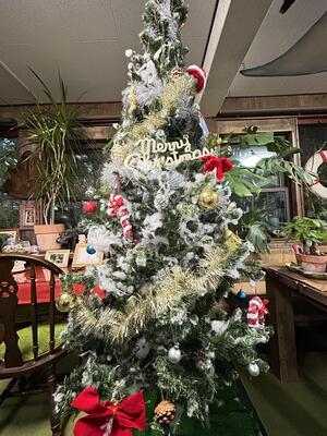 クリスマス支度！＠下田ダイバーズ[1]