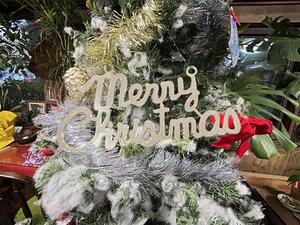 クリスマス支度！＠下田ダイバーズ[2]