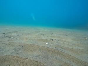 連休スタート！@雲見[2]