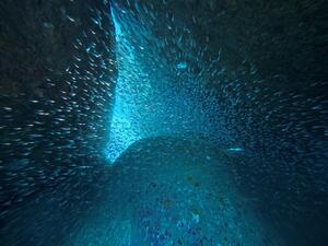 大冒険！＠雲見[3]