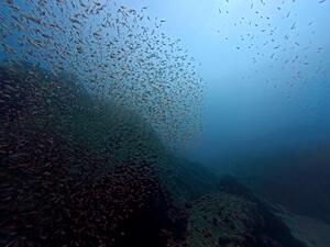 大冒険！＠雲見[2]