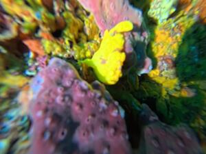 大冒険！＠雲見[5]