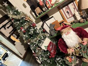 潜りましょう！＠雲見[1]