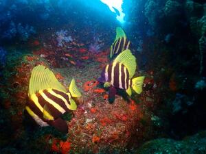 楽しい!　＠雲見[2]