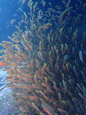 楽しい!　＠雲見[1]