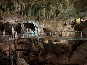 西表島ツアー！[4]