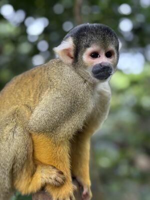 西表島ツアー！[1]