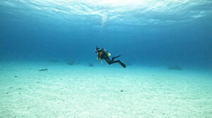 今年の冬は石垣島へ来ませんか？[2]