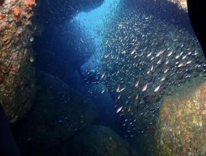 潜りましょう！＠雲見[1]