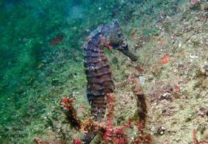 THE 雲見！＠雲見[5]