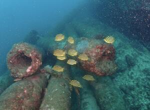 本日は田子へ！＠田子[3]