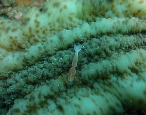 本日は田子へ！＠田子[6]