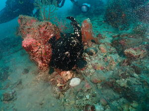 本日は田子へ！＠田子[1]