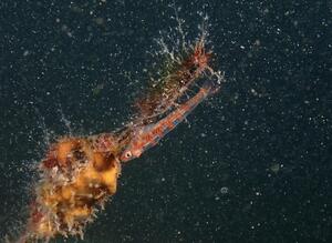 本日は田子へ！＠田子[2]