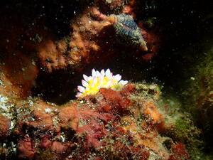 本日は田子へ！＠田子[5]