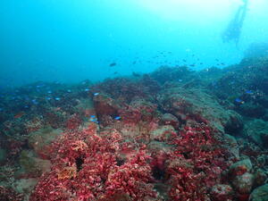 本日は田子へ！＠田子[4]