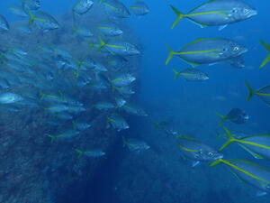 THE 雲見！＠雲見[3]