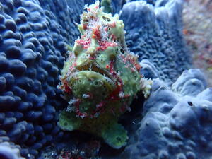 富士山くっきり！＠雲見[6]