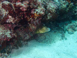 アドバンス講習＠須崎[2]