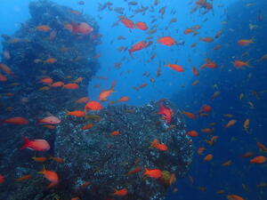 楽しかった３連休！＠雲見[2]