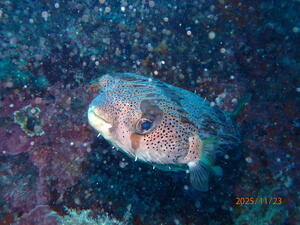 3連休中日！@雲見[3]