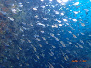 3連休中日！@雲見[2]