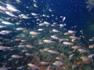 3連休中日！@雲見[1]