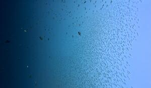 大冒険！＠雲見[3]